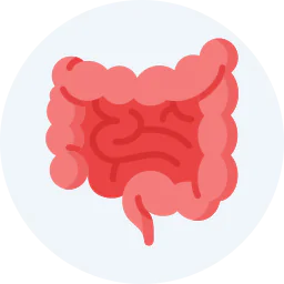 Simple medical icon illustration of the human intestine and digestive system in pink color representing colorectal and gastrointestinal health.