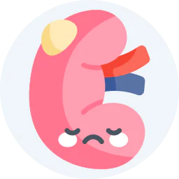 Cute medical illustration of a kidney with a highlighted cyst, representing kidney cyst disease, kidney infection, or renal health problems.