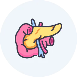 Pancreas treatment icon representing advanced pancreatic surgery and gastrointestinal care in Indore.